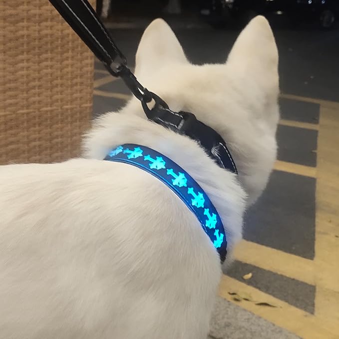 USB-C led Light up Dog Collar, 3D Design Comfortable and Soft Material,Multicolored Lighting，Night Dog Collar (CR, M(15.7-19.7"))