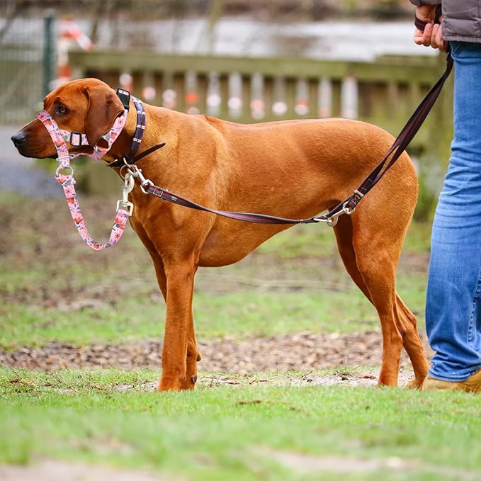 Dog Head Collar, Printed No-Pull Headcollar, Adjustable Dog Head Halter Gentle Lead with Safety Link, 3 Colors Muzzle Leash for Small Medium Large X-Large Dogs Easy Walks (Medium, Mimosa)