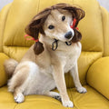 pet k9 Funny Dog Cosplay Wig, Headwear Apparel Toy,Pet Costumes, Cat Dress up for Halloween, Christmas, Parties, Festivals, Dog Wigs for Small Medium and Large Sized Dogs (Brown Braids)