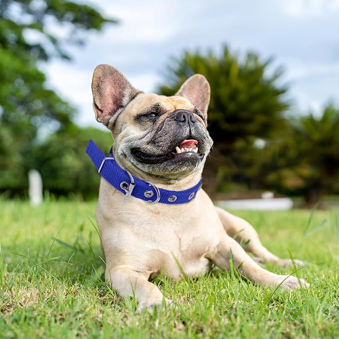 GLEAVI Pet Collar for Dogs and Cats, Adjustable Blue Foam Collar with Alloy Buckle, Lightweight Neck Decor for Outdoor and Party Use, Size S, Suitable for Puppies and Small Breeds