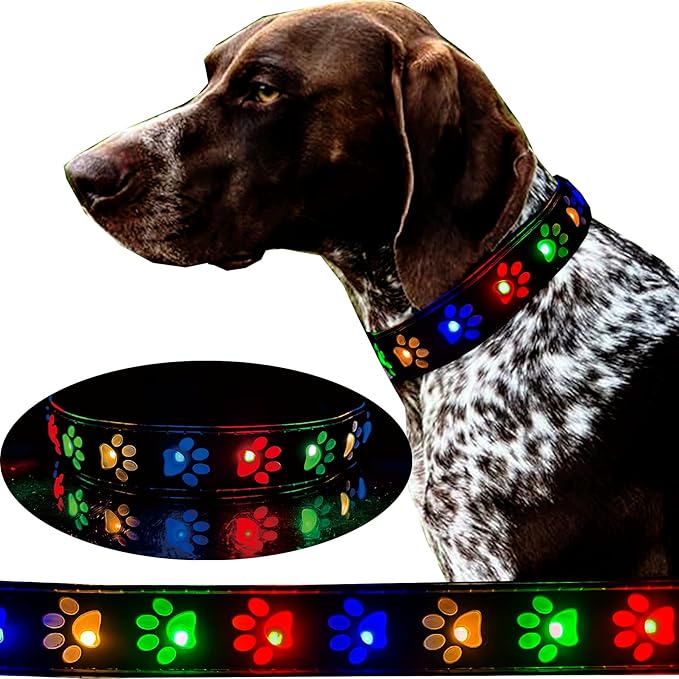 Subversive USB-C led Light up Dog Collar,Star Running LED Design Comfortable and Soft Material,Multicolored Lighting (PW-Black, M(11.8-15.7"))