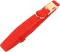 Adjustable Simple Design Dog Collar with Metal Buckle Soft and Comfortable Pet Neck Chain for Dogs for Daily Wear Parties and Photos