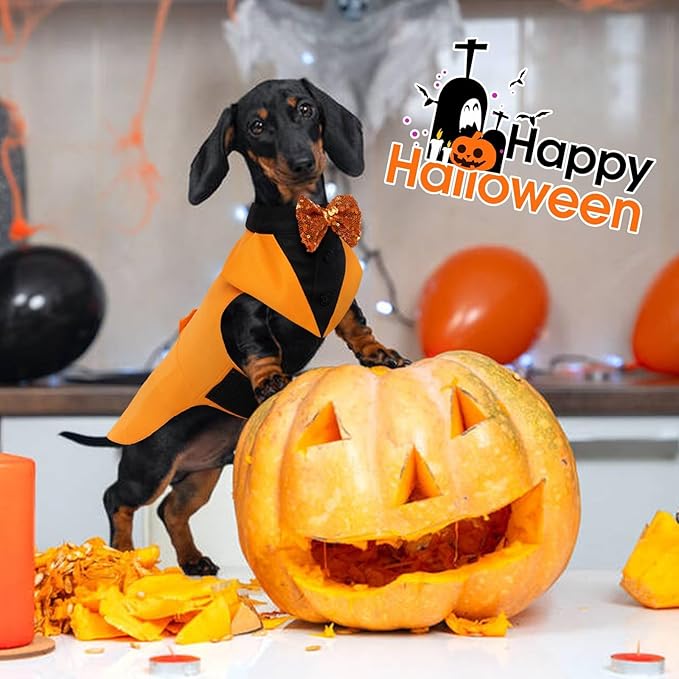 Kuoser Dog Tuxedo Suit and Bandana Set, Pumpkin Color Dogs Thanksgiving Outfit Adjustable Dog Halloween Costume with Bow Tie for Large Medium Small Dogs Golden Retriever Samo Bulldogs, M
