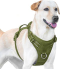 No Pull Dog Harness, Reflective Puppy Vest for Small Medium Large Sized Dog (Misty Green,XS)