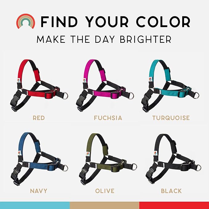 Wildebeest No Pull Dog Harness | Comfortable Dog Training Harnesses | Effective No Pull Harness Design | Ideal Dog Harness for Small Dog and Puppy | 4-Point Adjustable (S - 18~24 inch Girth, Red)