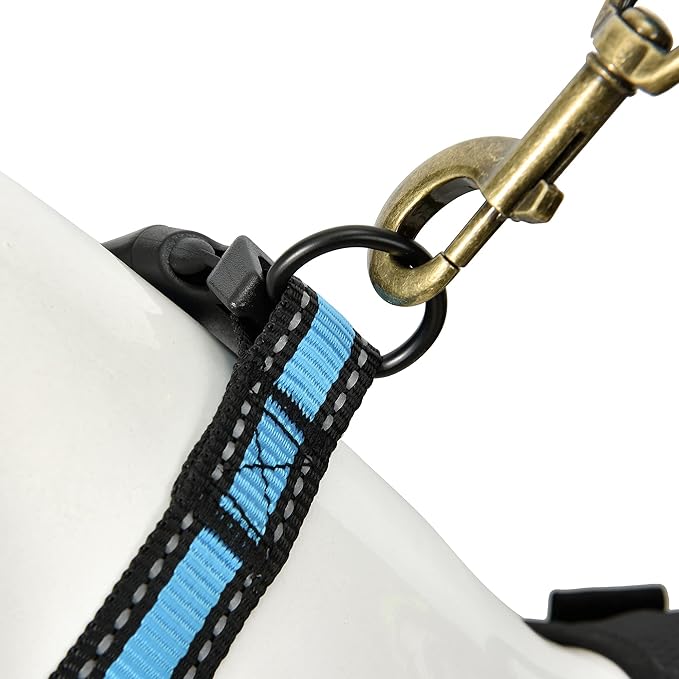 Mile High Life Dog Collar | Nylon Reflective Dog Collars | Light Weight Puppy Collars | Blue Dog Collars for Small Dogs (Blue, X-Small)