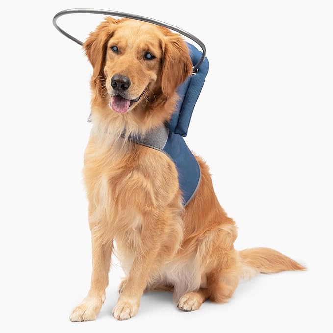 Muffin’s Halo® – The Original Blind Dog Halo | Harness & Bumper Collar Accessory for Safe Navigation & Confidence – Blue, Size 9