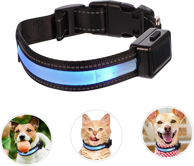 USB Charging Pet Collar Led Flashing Collar for Dogs Night Safety Accessory Fashionable Puppy