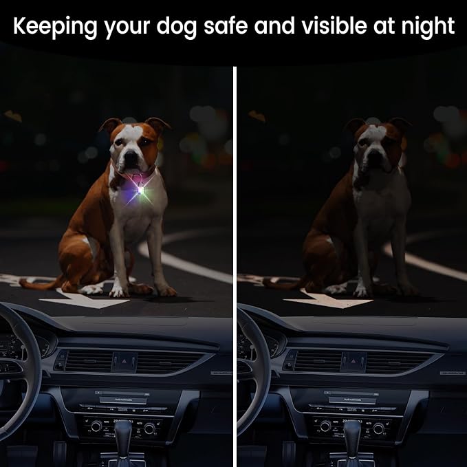 Dog Collar Light, 2 Pack Rechargeable Dog Light Clip On, 80LM Brightness 4 Color Modes Dogs Lights for Night Walking, Waterproof Pet Camping Essentials for Running, Cycling, Hiking (Black)