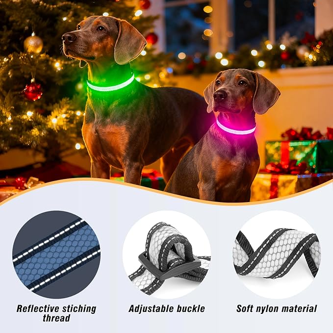 Multicolor Light Up Dog Collar, 5V Waterproof Led Dog Collar Rechargeable, 200 mAh Adjustable Glow in The Dark Dog Collars with 11 Light Modes for Small, Medium, Large Dogs Walk for Night (Medium)