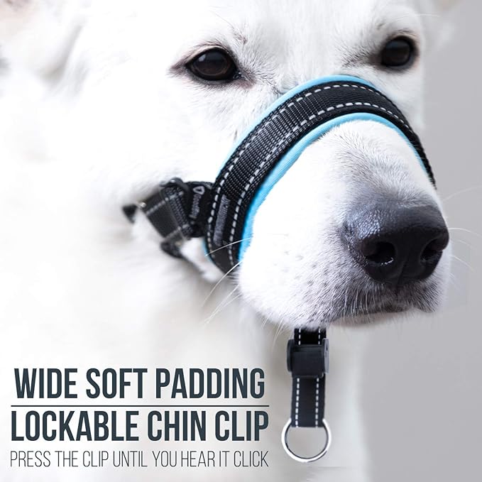 GoodBoy Dog Head Halter with Safety Strap - Stops Heavy Pulling On The Leash - Padded Headcollar for Small Medium and Large Dog Sizes - Head Collar Training Guide Included (Size 2, Blue)