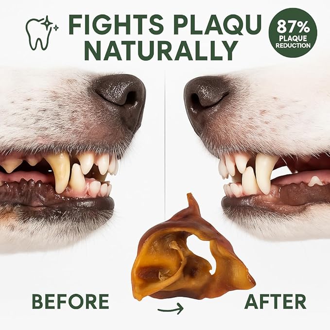K9warehouse Pig Ears for Dogs - Natural Bulk - 100% Pork Pig Ear Strips for Dogs - Alternative to Rawhide Chews - Thick Cut Pig Ears for Dog Treats for All Breeds Packed in USA - 16oz