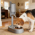 Food Water Automatic Feeders, Automatic Dog Bowl Dispenser, No Drip Easy Clean Pet Feeder, Durable Small Animal Feeding Tool, Dogs Cats Puppies Rabbits for Dogs Cats Puppies Rabbits (Grey)