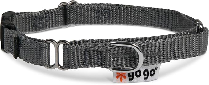 GOGO Pet Products Martingale Dog Collar, X-Small, Gray
