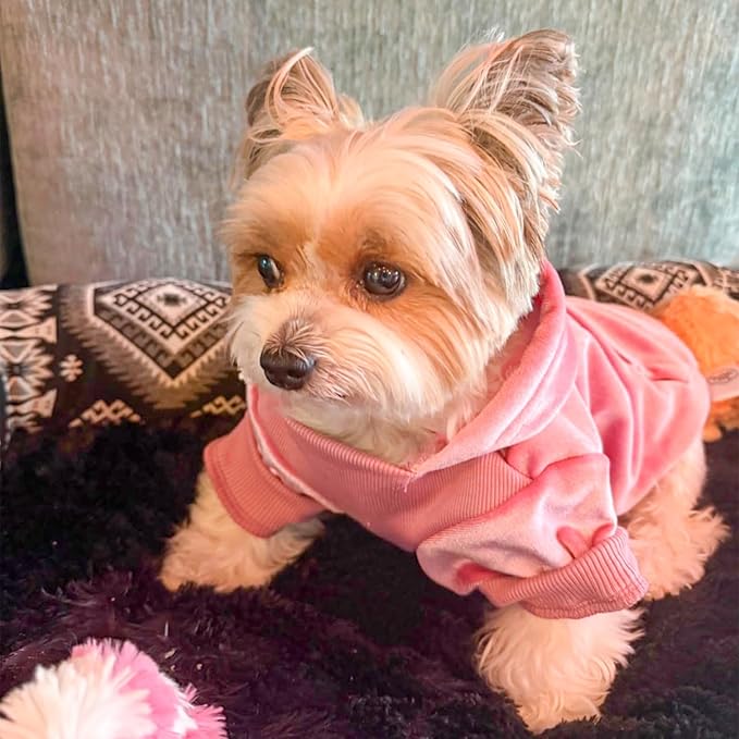 BEAUTYZOO Dog Hoodie Sweaters for Small Medium Dogs- Warm Fall Winter Fleece Jacket for Cold Weather, Soft Velour Hooded Coat with Leash Hole & Pocket, Puppy Sweatshirt Clothes Bulldog Schnauzer, Pink