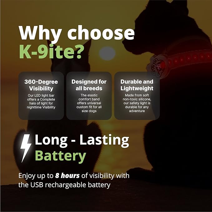 Rechargeable LED Dog Collar, Adjustable Size Light Up Collar with 360° Halo Effect, Ultra-Bright RGB Light, Weather-Resistant Design, Flash Mode, & USB-C Charging for Small, Medium & Large Dogs