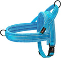 Didog Soft Flannel Padded Dog Vest Harness, No Pull/Quick Fit Reflective Dog Strap Harness, Easy for Training Walking (XS:Chest 15-18", Blue)