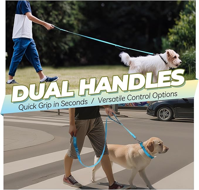 VIVAGLORY Twingrip Dog Leash, Double Handle Dog Leash for Training & Walking with Traffic Handle & 2 Loop, Traffic Control Reflective Heavy Duty for Puppy Pet, 5ft x 1in, Lake Blue