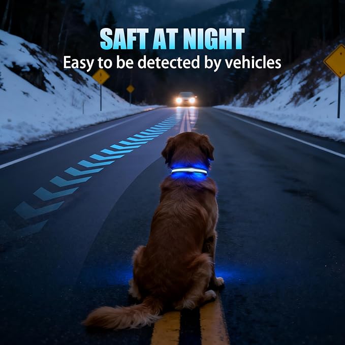 LED AirTag Dog Collar - Brightest Light Up Dog Collars - IP68 Waterproof Air Tag Dog Collar Holder - 1,600 Feet of High Visibility - Magnetic Charging - Dog Lights for Night Walking, Black M