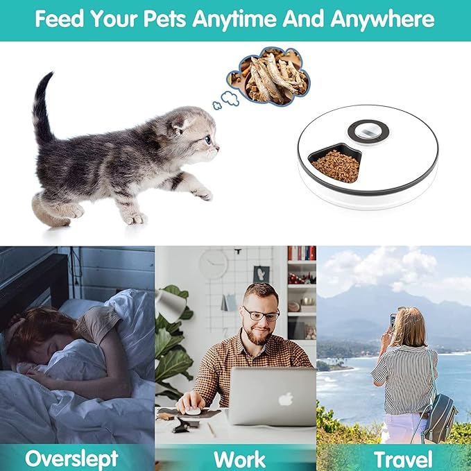 Automatic Cat Feeder Auto Cat Food Dispenser Smart Cat Feeder for Dogs, Cats & Small Animals W/Programmable Timer with 6 Meals Suitable Wet & Dry Food with Voice Reminder