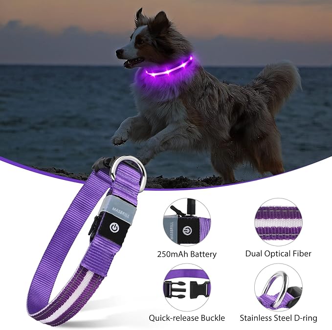 MASBRILL LED Dog Collar - Rechargeable, Lighted, Adjustable for Large Dogs - Purple, Nighttime Walks