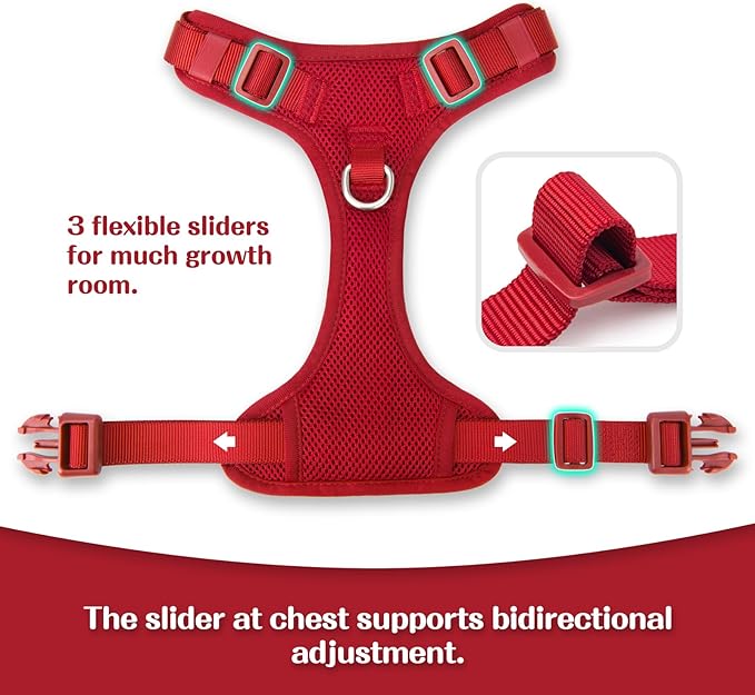 No Pull Dog Harness for Small Medium Large Dogs - Adjustable 2 Layer Mesh Dog Vest with Dual Clip, Escape Proof, Quick Release, Lightweight Breathable Mesh for Walking Hiking (Burgundy Red,XS)