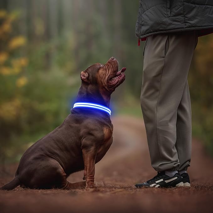 Illumifun LED Dog Collar Rechargeable Light Up Dog Collar Glow in The Dark, Flashing Lighted Glow Collars for Small Medium Large Dogs Night Walking (Blue, Large)