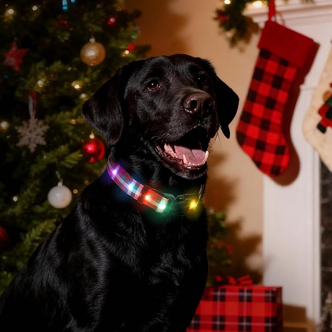 Christmas Light Up Dog Collar, LED Dog Collar Glow in The Dark - USBC Rechargeable, Adorable Plaid Pattern Christmas Collar for Medium to Large Dogs - Comfortable & Cute Xmas Dog Collars, Plaid L