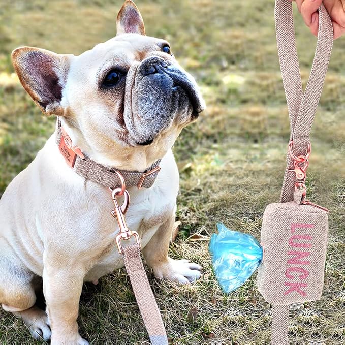 Personalized Dog Collar with Leash Custom Dog Waste Bag Dispenser Engraved Pet Collar Walk Lead Outdoor Pet Poop Bag Portable Brown M