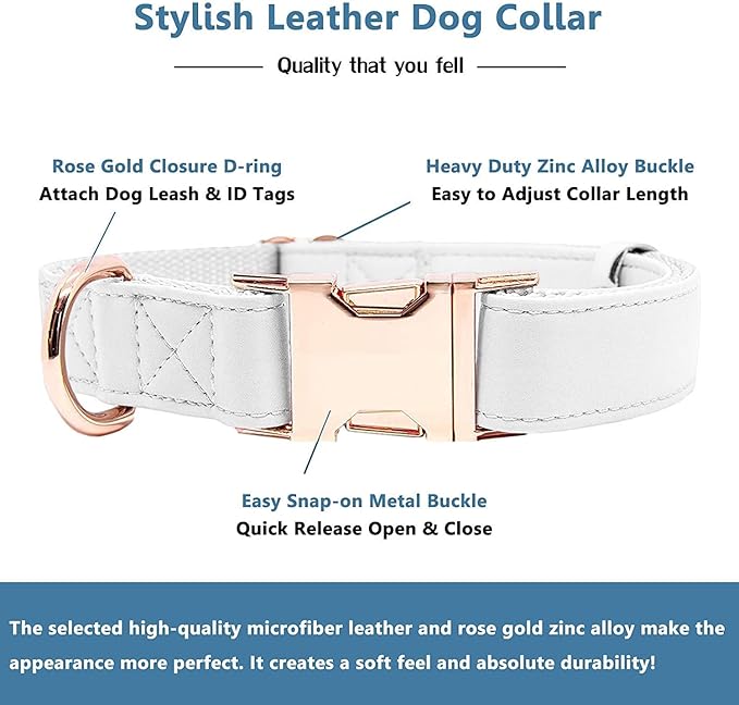 Soft Leather Dog Collar and Leash (6.6') Set - Stylish Rose Gold Heavy Duty Metal Buckle, 4 Adjustable Lengths Leash for Small Medium Large Dogs - Comfortable & Easy to Clean White M(13.8"-19.7")