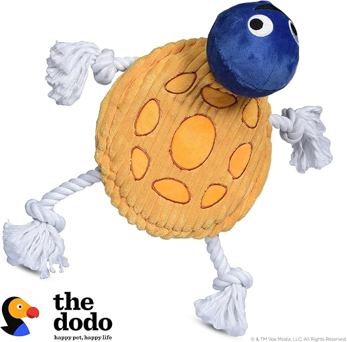The Dodo Turtle Multitexture Toy with Ropes, Squeakers, and Crinkle; Stuffingless Toy for Dogs; No Stuffing Dog Toys with Crinkle Sound and Squeaker; Turtle Toy for Dogs in Flat Style Plush