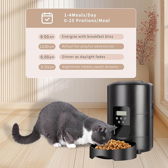 2L Smart Pet Feeder Timing Smart Automatic Pet Feeder for Cats Dog Button Intelligent Dry Food Dispenser Dog Bowl