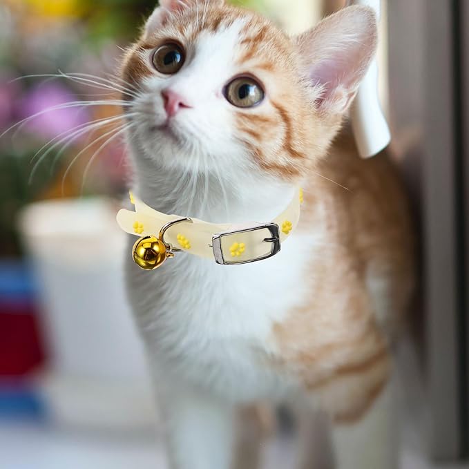 KESYOO Adjustable Luminous Collar for Pets 5 Pieces Random Colours Fluorescent Design Comfortable Anti-Lost Pad Suitable for Dogs and Cats on Walks Random Colour