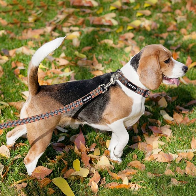 azuza Dog Collar and Leash Set, Classic Plaid Dog Collar with Matching Leash for Small Dogs, Great for Christmas, New Year, Festivals and Daily Use