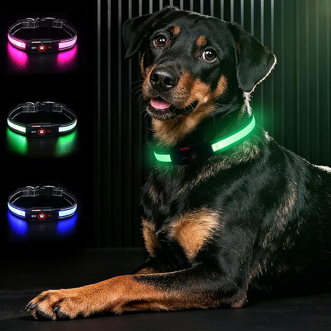 Light Up Dog Collar-Rechargeable & Long-Lasting Power LED Dog Collar Lights for Night Walking, Waterproof & Safety Glowing Collars for Small Dogs [Green-S]