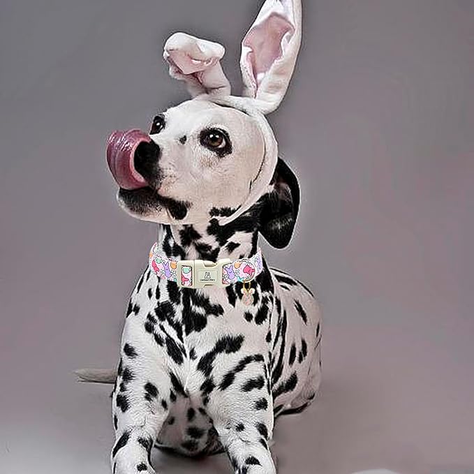 Lionheart glory Easter Dog Collar Colorful Collar for X-Small Dog Collars Easter Egg Print Dog Collars Spring Female or Male Pet Gift Adjustable Heavy-Duty Puppy Collar Holiday