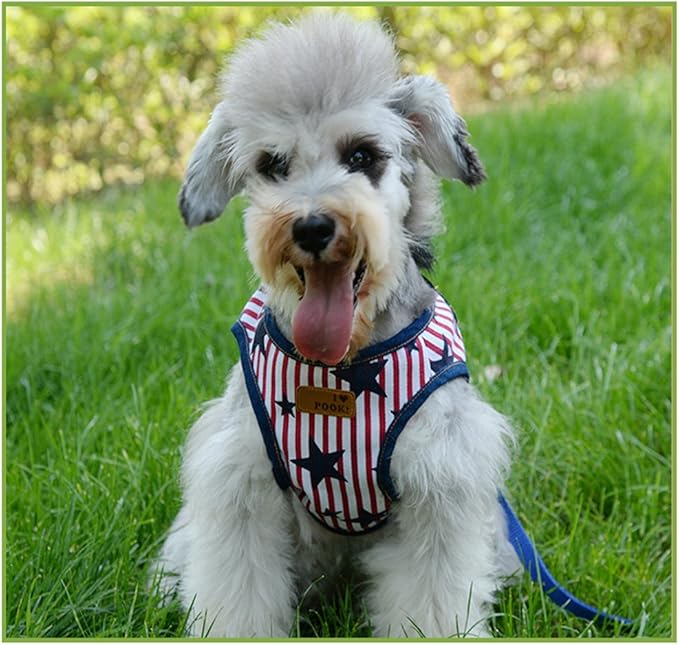 Comfortable American National Flag Dog Leash Harness Adjustable Durable Leash Set Dog Leash Collar for Small, Medium Dog