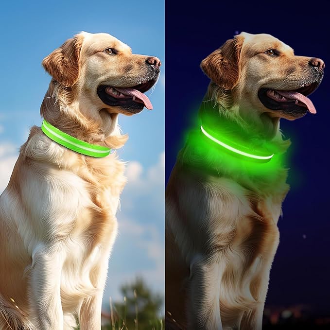Spring Green Large LED Dog Collar | Night Walks just got safer | Ultra-Bright LED Collar | USB Rechargeable | Waterproof | Adjustable & Durable | 4 Light Modes | Keep Your Pup & Yourself Safe!