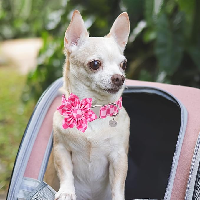 Dog Collar with Flower, UP URARA PUP Cute Pink Dog Bowtie Collar, Detachable Flower Bow Puppy Collar with Metal Buckle for Dogs,M