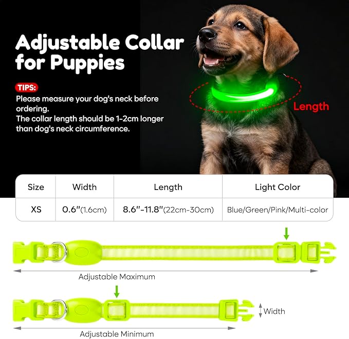 Light up Dog Collar - Multi-Color LED Dog Collar, USB-C Rechargable, Flashing Collar for Cats, Puppy Dogs and Small Breeds,Waterproof and Adjustable Rainbow Collar for Dogs(XSmall)