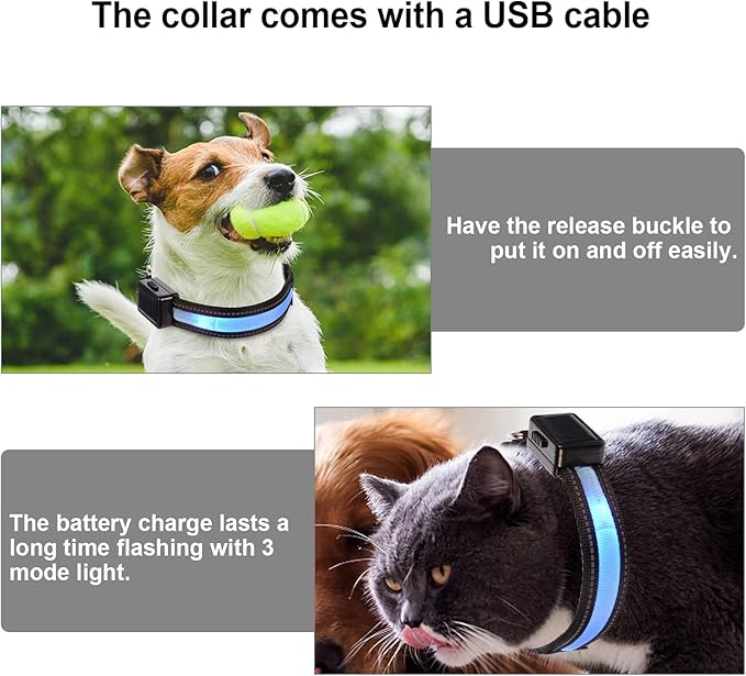 LED Solar Rechargeable Dog Collar USB Charging Glowing Puppy Collar Light up Blue Size S for Small Dogs