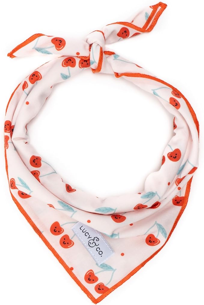 Lucy & Co. Cheery Cherries Bandana - Durable Comfortable Dog Bandana - Designer Puppy Accessory - Machine Washable - Small - Red Gingham Cherries