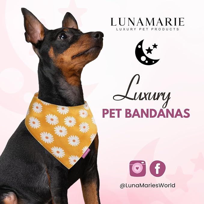 LunaMarie - Luxury Pet Birthday Bandanas -Premium & Silky Poly Fabric | 100% Handmade | Custom Shape Dual Layered (Daisies, Large)