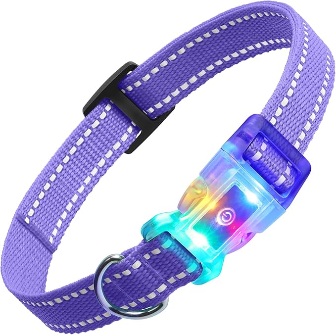 Rechargeable LED Dog Collar Suit for Small Large Dog, Dazzling Glow-in-The-Dark Light Collar, Prevent Traffic Accident Anti-Stampede Pet Supplies Glowing Collar (Purple)