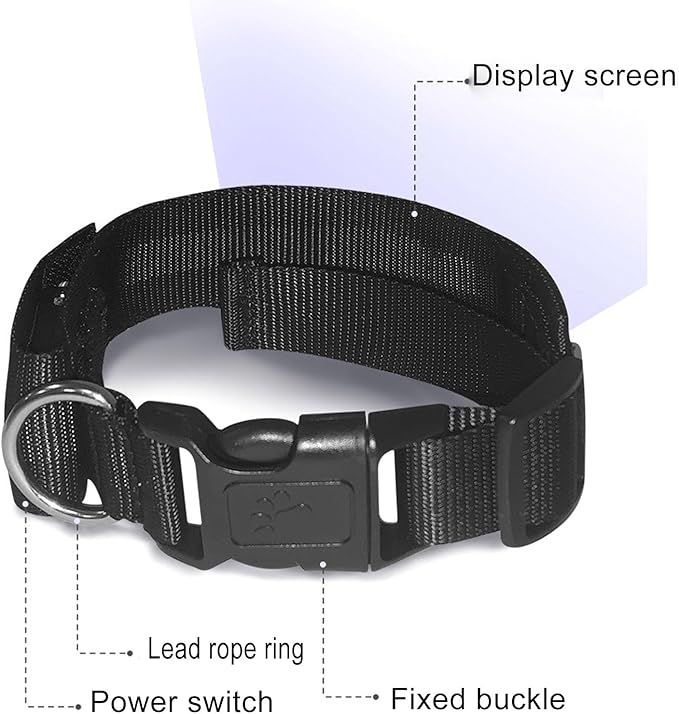Glow Collar for Dogs, Led and Collared, Rechargeable Led Collar for Providing High Visibility During Nighttime Walks (Yellow)