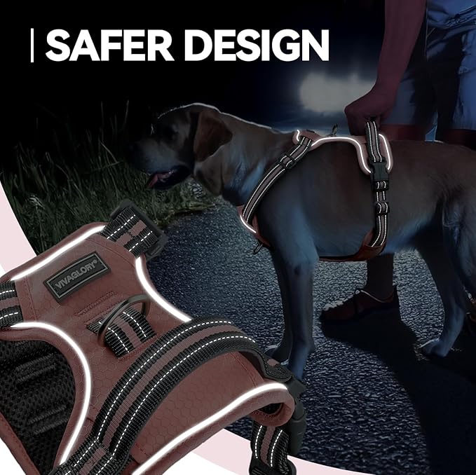 VIVAGLORY Dog Harness Easewalk No Pull Dog Harness with Handle Front Clip & Back Clip for Training Walking Lifting, No Pull Adjustable Easy On Padded Comfortable for Pet, M, Sakura Pink - Patterned