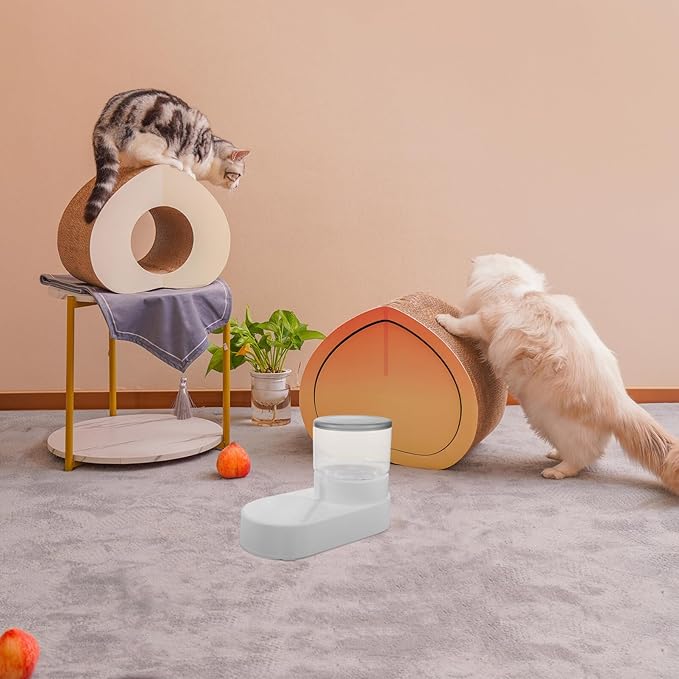 Automatic Pet Water Dispenser and Cat Feeder and Cats Gentle Easy to Use Non-Spill for Pet Hydration and Feeding