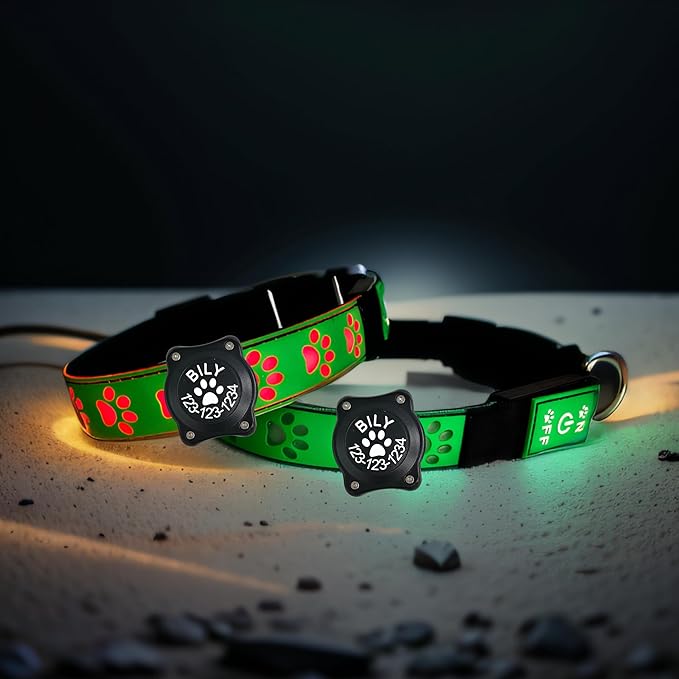 Personalized Dog Collar with Waterproof airtag Holder for Night Walk, USB C Rchargeable Light up, Adjustable Glowing Collar for Dogs (Green 15MODES, XL(19.7-23.6"))
