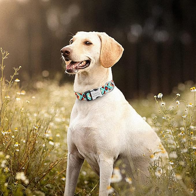 Fashion Custom Dog Collar Nylon Print Personalized Pet Collar Puppy Dog ID Collars Free Engraved ID for Small Medium Large Dogs 141 JH 40 to 57 cm