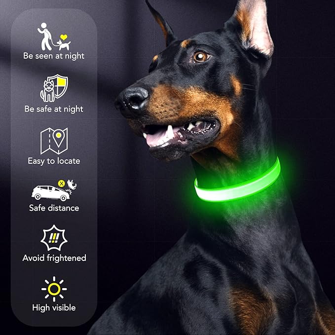 LED Dog Collar Light Up Dog Collars USB Rechargeable, Adjustable Size Heavy Duty TPU Nylon Webbing Glow Safety Basic Dog Collars for Large Medium Dogs (M, Neon Green)…
